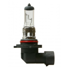 Polttimo H10 12V, 42W, kanta PY20D