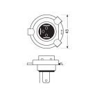 TL, Blu-xe halogeenilamppu 2kpl, 12V, 60/55W