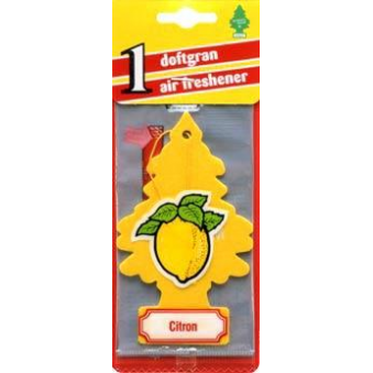 TL.Wunderbaum Sidrun Lõhnakuusk, S103-72-11