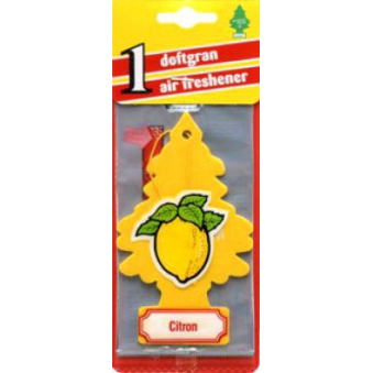 TL.Wunderbaum Sidrun Lõhnakuusk, S103-72-11