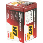 Lampadina H7 24V 70W attacco P*26D