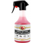 Roostevaba puhastaja 500ml