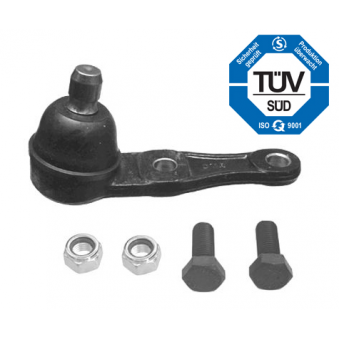 CLARO AL SARNIIR, S121-43761