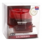 Bilduft Deluxe Wildberries 50ml.