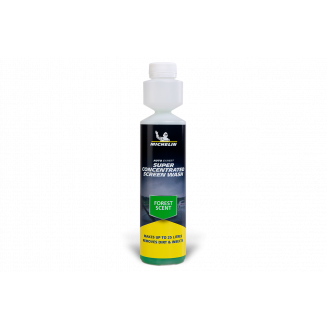 Suvise aknapesuvedeliku kontseraat 1:100, S131-W31999