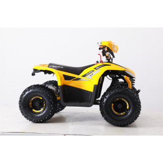 elektriskais kvadracikls ELF750 dzeltens 750w, S133-ELF750