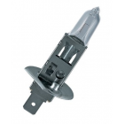 H1 12V 55W P14,5 ORIGINALE