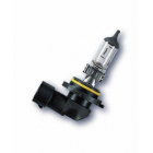 H10 12V 42W PY20D