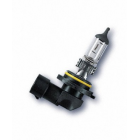 H10 12V 42W PY20D