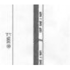 TL BRAKE HOSE REAR FIESTA