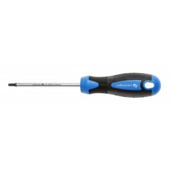 Cacciavite TORX T40 100mm, S171-HT1S059