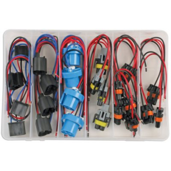 Bouchons pour lumières GM&amp;Ford 24 pièces, S183-37414