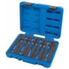 Plug prong set