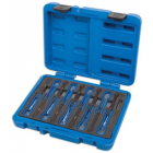 Plug prong set