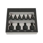 Torx T10-T50 10 osaa
