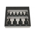 Torx T10-T50 10 osaa