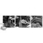 Belt installer Renault 1.2L