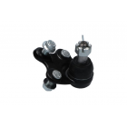 iarniir Civic 12-