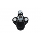 iarniir Civic 12-