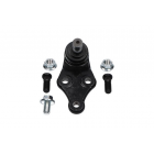 iarniir Ceed 12-