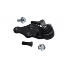 iarniir Ceed 12-