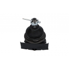 iarniir Ceed 09-