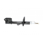 esiamort Duster 10-
