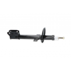 tagaamort Duster 10- 4wd