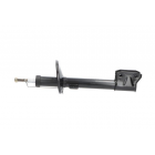 tagaamort Duster 10- 4wd