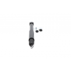 tagaamort Duster 10- 2wd