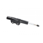 esiamort Sprinter,Crafter 06-