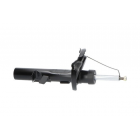 Esiamort par Focus 10-