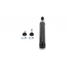 amortisaator taga Leaf 10-