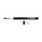 amortisaator taga Leaf 10-