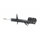 esiamort X-Trail vas 07-