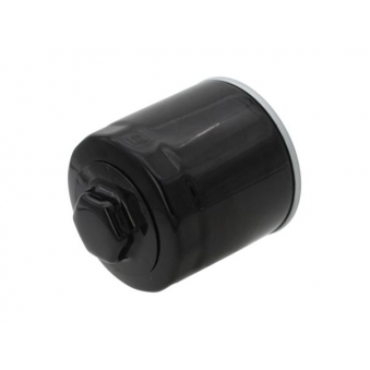 Alyvos filtras 030115561AB, WL7203-A