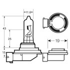 Attacco H9 12V 65W PGJ19-5 Lampadina alogena luce principale