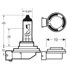 H11 12V 55W Socket PGJ19-2 Halogen bulb for main and auxiliary lights