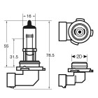 H12 12V 53W Socket PZ20d Main and additional fire halogeenpirn