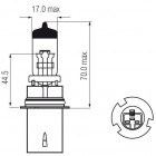 HB1 12V 45/65W Fatning P29t amerikansk hovedlys halogenpære