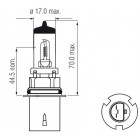 HB5 12V 55/65W kanta PX29d Amerikkalainen päävalo halogeenilamppu