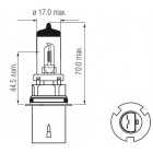 HB5 12V 55 / 65W Socket PX29d American type main light halogen bulb