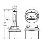 12.8V 27W Socket PG13 American type main light halogen bulb