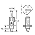 H1 6V 55W Socket P14,5s Main and additional light halogen bulb