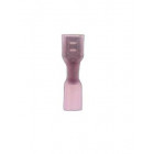 Cosses avec gaine thermorétractable, femelle revêtement rouge 6,3x0,8mm 100 pcs.