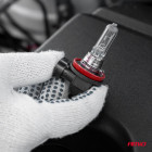 HIR 12V 65W 9011 halogeenipolttimo Amio