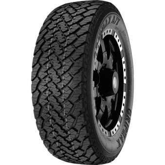 255/65R17 GRIPMAX GRIPMAX A/T 110T OWL DOT21 EC274, 124869