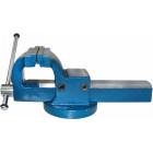 VALETTU TERÄS RUUMINEN 125MM TRIUMF