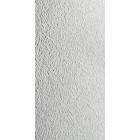 PROTECTOR (LINEX/RAPTOR ANALOGUE) GRAY 750ML MIPA