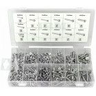 550-OS. KRUVIDE KOMPLEKT (FAASITUD PEA) TSINGITUD 2.8-4.8MM ERI PIKKUSED JBM